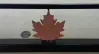 Maple leaf close up